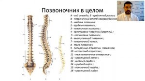 Осевая нагрузка при патологии позвоночника и суставов