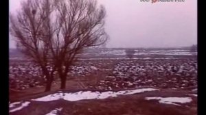 Прогноз погоды от 15 декабря 1987 года