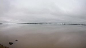 Рыбалка на ФИДЕР на АМУРЕ. Ловим НА ЧЕСНОК летом.