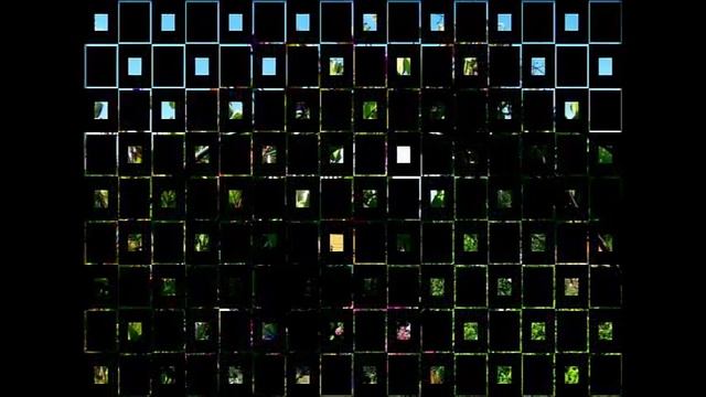 Фото Садовых Лиан смотреть онлайн