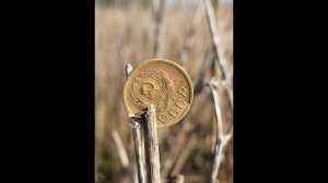 Коп с металлоискателем и что можно найти не далеко от Твери!