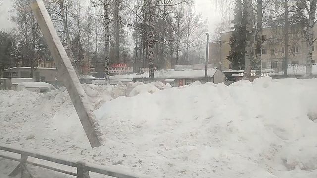 #сертолово САНКТ-ПЕТЕРБУРГ - ЛЕНИНГРАДСКАЯ ОБЛ.(СЕРТОЛОВО) за 25 минут на автобусе.