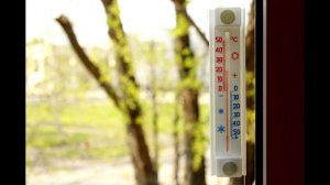 Почему в термометре используют именно ртуть? Ответ №9