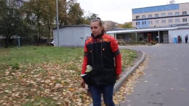 Первое занятия по послушанию дрессировки цверг шнауцера смотреть онлайн