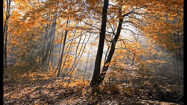 Henryk Sztompka - Chopin Mazukas op.41 (1948).wmv смотреть онлайн