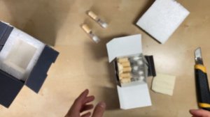 Посылка с муравьями из Израиля! Messor ebenius и ещё одна неизвестная матка! \\ Димон и пумба