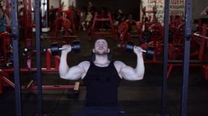 2.1. Плечи / жим сидя с гантелями / техника выполнения упражнений