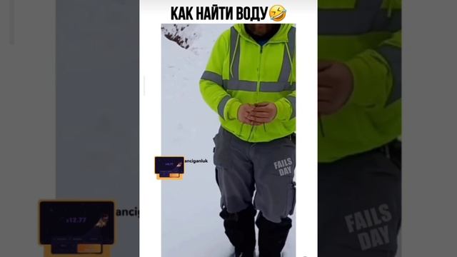 2_5381863866093283527