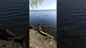 " Клёвая рыбалка на озере Балтым))"