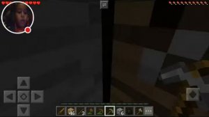 Видео игры "Minecraft PE". Версия 1.1.5