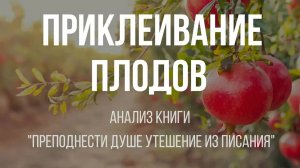 Всё происходит в сердце ｜ Алексей Прокопенко