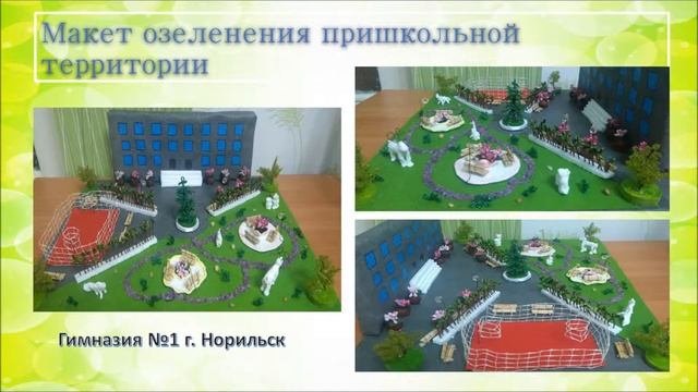 Озеленение пришкольной территории