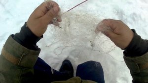 Рыбалка в глухозимье на сеть с кормушкой, первый опыт  ( Присутствует нецензурная лексика)