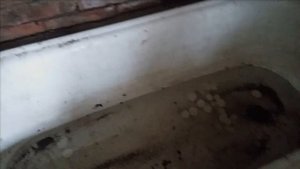3 Курятник из старого сарая женскими руками.