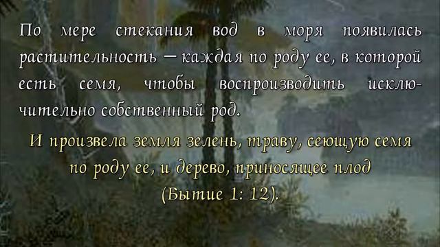 Сотворение. Семь творческих дней. Третий день-эпоха.