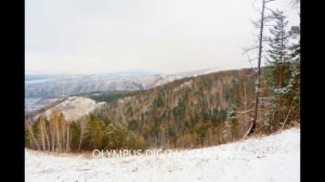 Сибирь, люблю твои снега