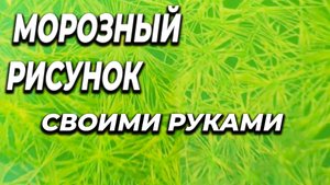 Морозный рисунок своими руками в гараже