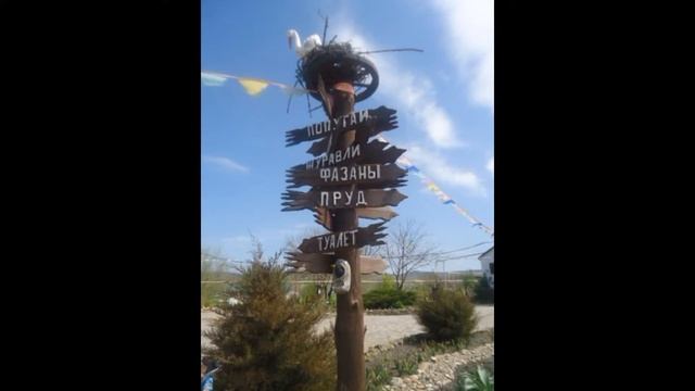 Ершова Таня в Абрау-Дюрсо по 2016 г. смотреть онлайн