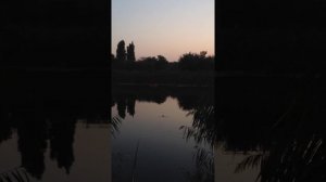Рыбалка в Краснодаре. Озеро Карасун, Щука Краснодар-05.09.2015 г