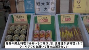 20年落ちの警察バスで2500km運転し辿り着いた本州最北端の地で車中泊してみた