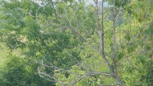 [Школа рыболова] - Ловля голавля и щуки на малых реках