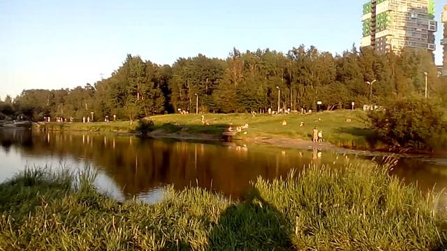 Исток реки Оккервиль. Ленинградская область смотреть онлайн