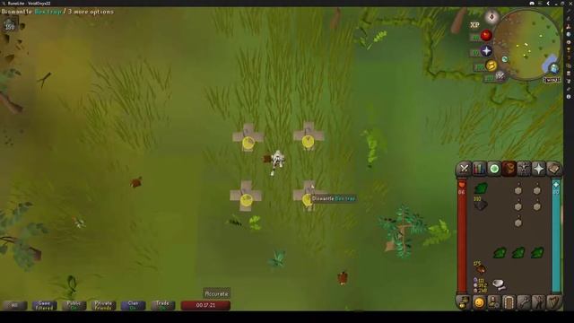 EASY 3 tick guide for hunter (not so click intensive) Runelite смотреть онлайн