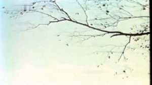 Георгий Виноградов - В лесу прифронтовом 🌳✨☭
