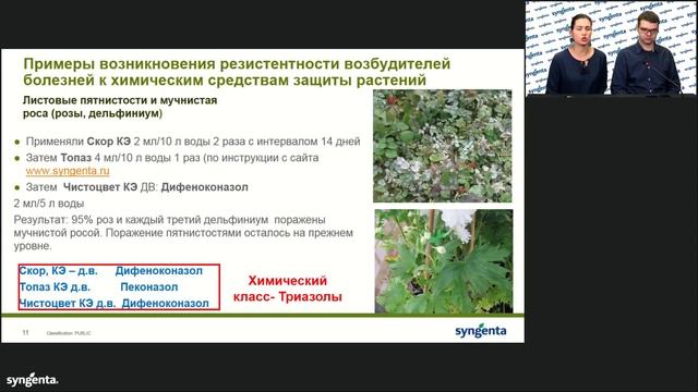 Как сократить применение пестицидов в теплице?
