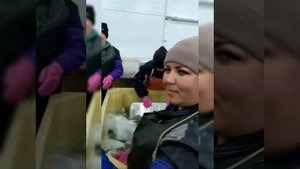 вахта на камчатке