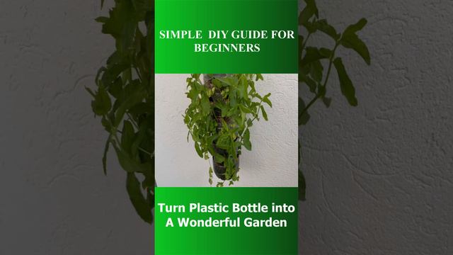 WOW DO THIS to Turn any Plastic Bottle Into a Wonderful Garden l SIMPLE DIY GUIDE FOR BEGINNERS