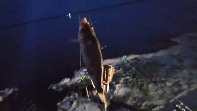 Открыл летний сезон, жара + 35, оз. Уелги смотреть онлайн