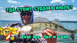 ГДЕ СТОИТ СУДАК В ИЮЛЕ? ТАМ ЖЕ, ГДЕ И СОМ!