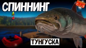 РР4/ рыбалка для души, ловим как универсал, общаемся 13.12.23