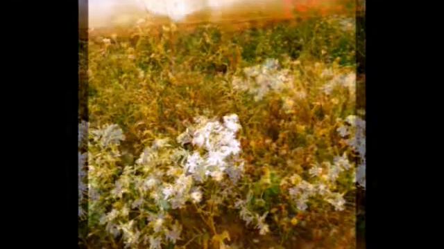 Красота моей дачи смотреть онлайн