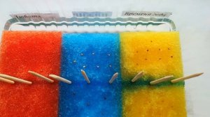 Инжир из семян. выращивание в домашних условиях. часть 1