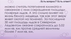 10 популярных вопросов и ответов про животных, часть 2