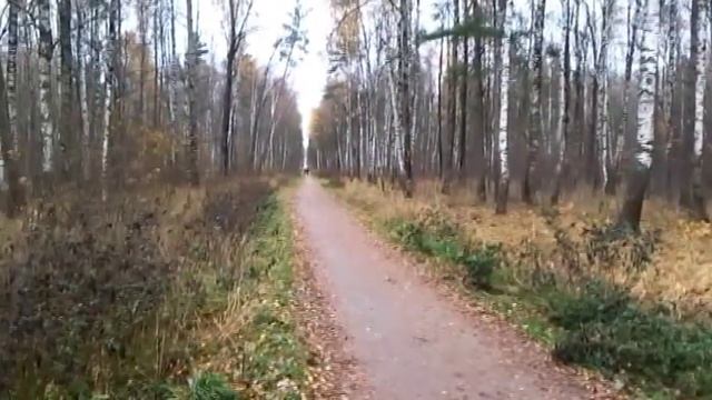 Осенний видеоэтюд смотреть онлайн