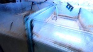 Приготовление артемии. Культивирование артемии в бытовых условиях.