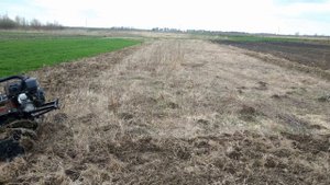 Мотоблок активными роторами прямо по траве: результаты и затраты