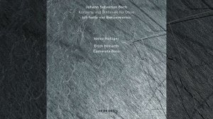 J.S. Bach: Cantata, BWV 12, "Weinen, Klagen, Sorgen, Zagen" - Sinfonia zur Kantate "Weinen,...