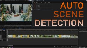 AUTO SCENE CUT DETECTION DAVINCI RESOLVE 17 import in EDIUS 10 / РАЗБИВКА КЛИПА НА СЦЕНЫ