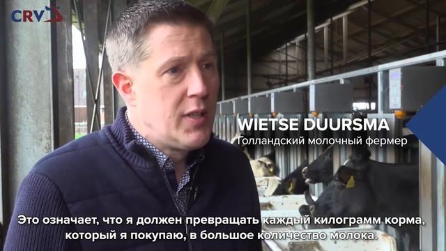 CRV - первые в области сбора данных о надоях коров и потребляемого корма