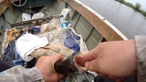 КЛЕВ С КАЖДОГО ЗАБРОСА! РЫБАЛКА НА АМУРЕ! ВЕРХОГЛЯД РВЕТ БЛЕСНА!