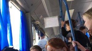 Цыгане поют!!! Тайсон в деле!