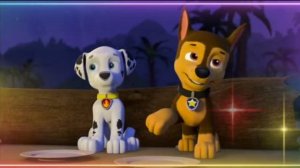 ?Гонщик и Скай ?(Леди я местный шугар дедди)