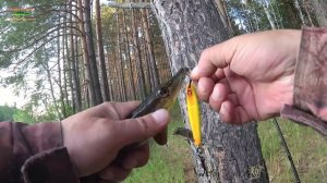 Когда молчат крупные воблеры, выручает РИДЖ 90.))