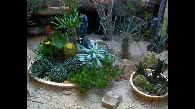 Научись фотографировать лучше смотреть онлайн