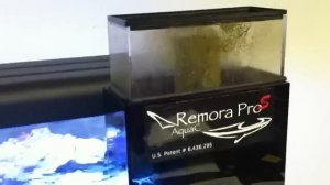First Look @ Remora Pro-S