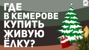 Где в Кемерове купить живую ёлку? Сделали наглядную карту